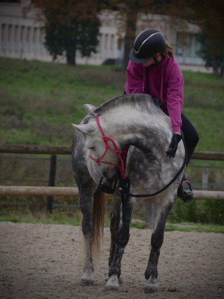 Photo de profil de chloe.aoun