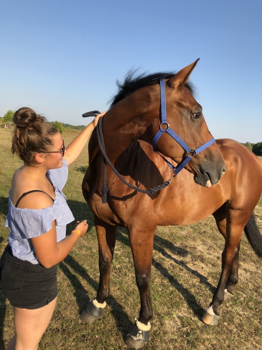 Photo de profil de chloe.dls