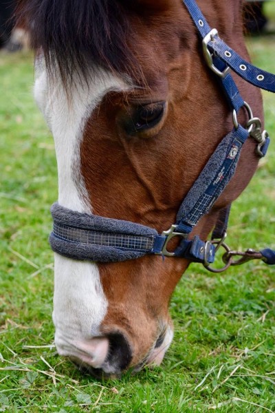 Photo de profil de chloemma