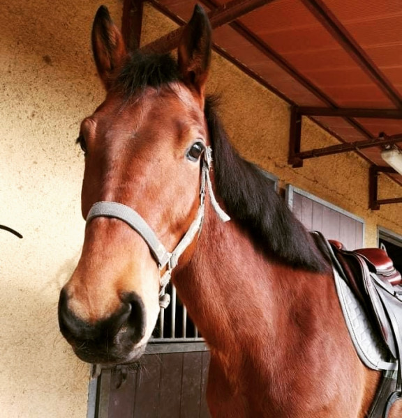 Photo de profil de chloeplo