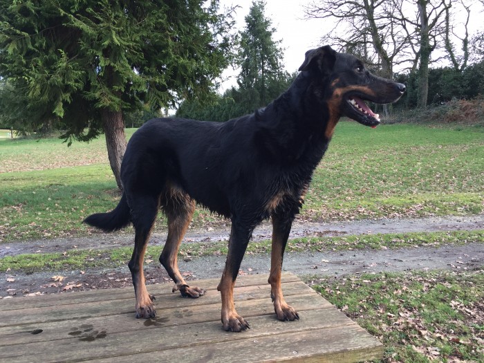 Photo de profil de chloe.presta