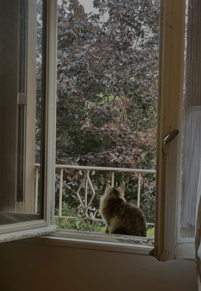 Photo de profil de chloe_.provin