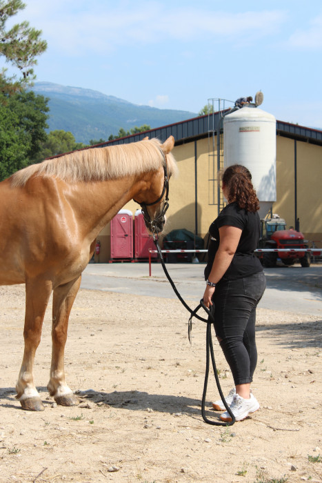 Photo de profil de chloe_sol