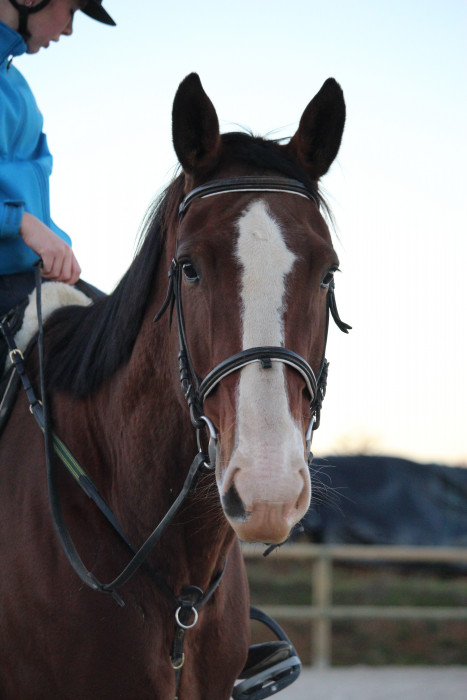 Photo de profil de chocapickdv