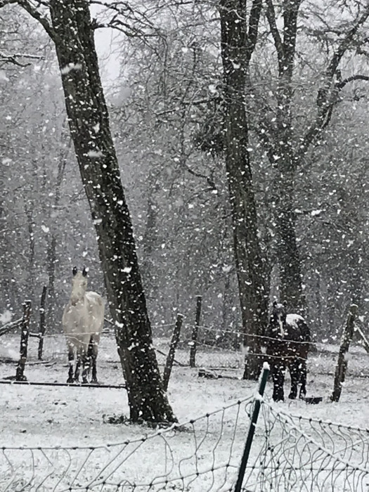 Photo de profil de chris1969