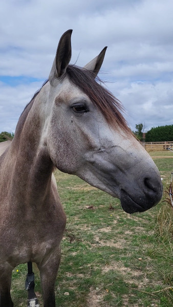 Photo de profil de chuma03