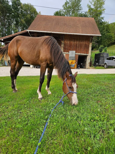 Photo de profil de ciello