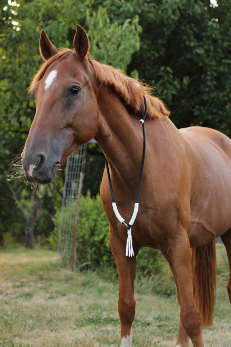 Photo de profil de ckloxe