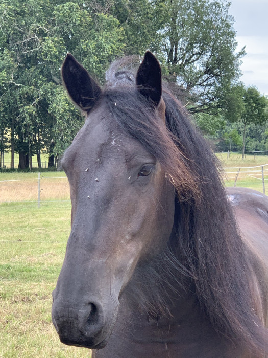 Photo de profil de clacoste65