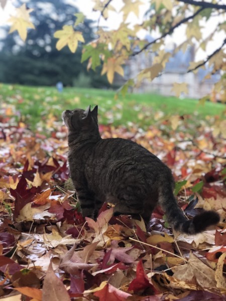 Photo de profil de claire1602