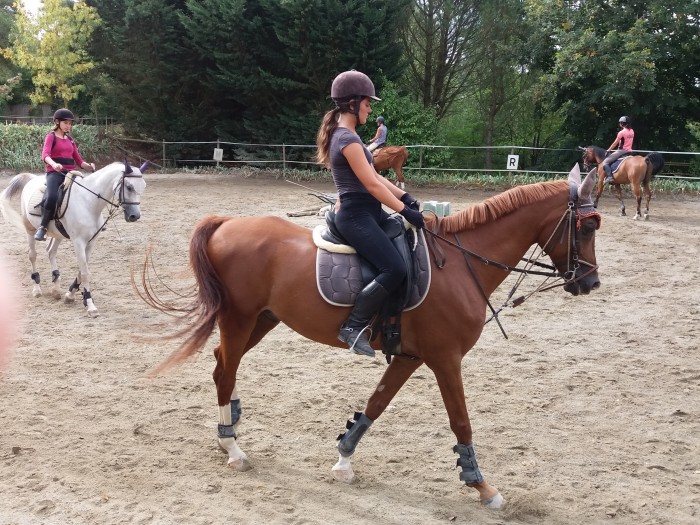 Photo de profil de claire311