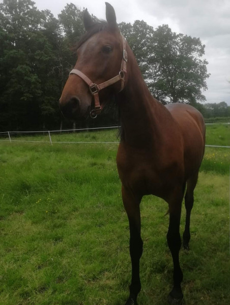 Photo de profil de claireandmiss