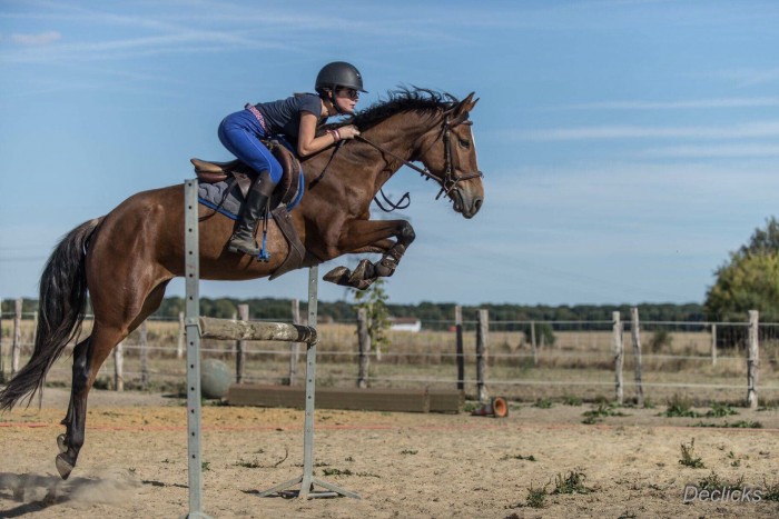 Photo de profil de claire.geffroy