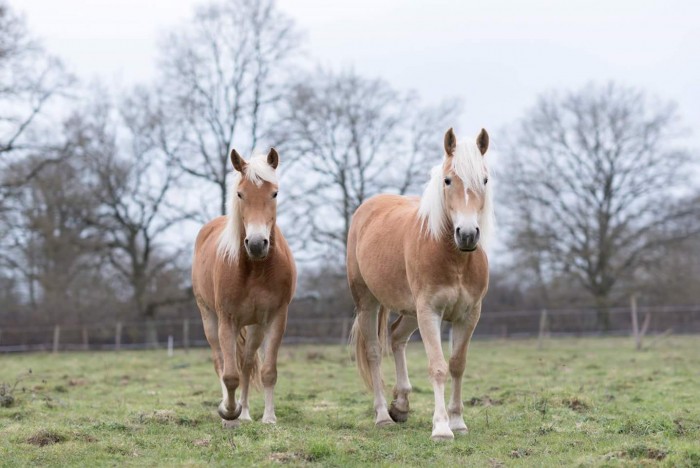 Photo de profil de clairemcg