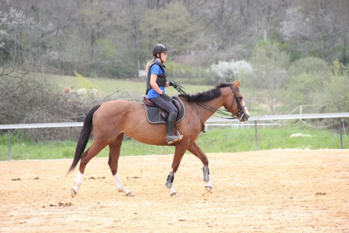 Photo de profil de claire.pezet