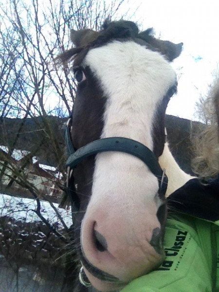 Photo de profil de clapoune