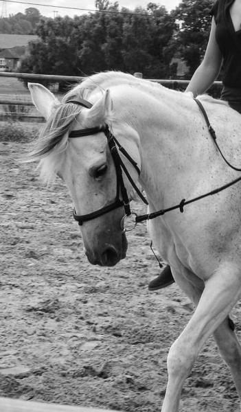Photo de profil de clara.octors