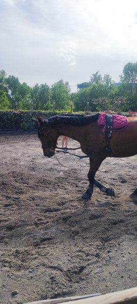 Photo de profil de clarisse.cso