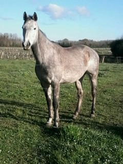 Photo de profil de claude17
