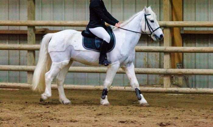 Photo de profil de claudine_petit