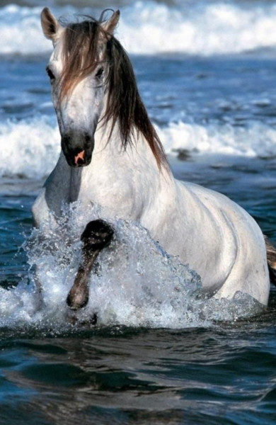 Photo de profil de clelia_2000