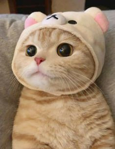 Photo de profil de clelie512