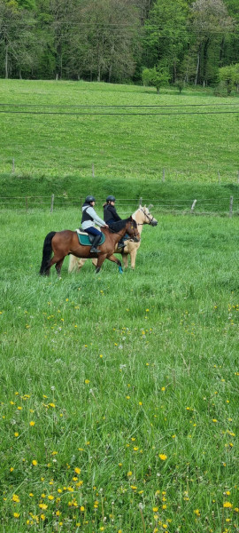 Photo de profil de clem2212