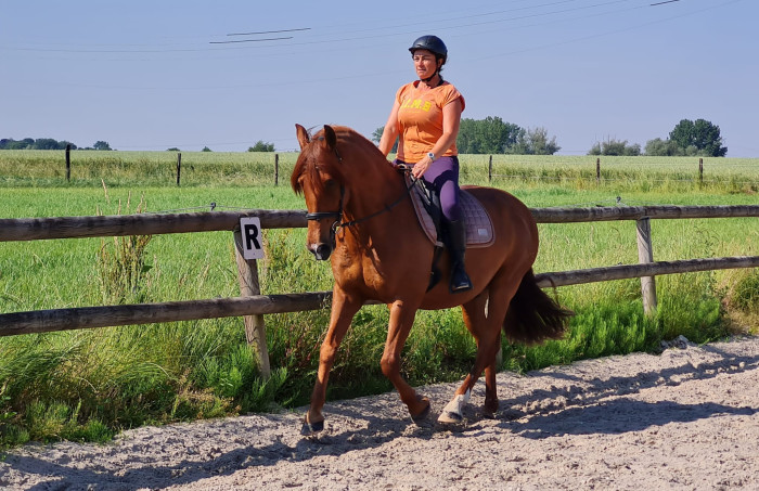 Photo de profil de clemencelucas59