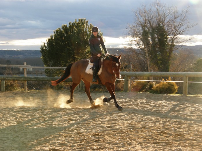 Photo de profil de clemence.t