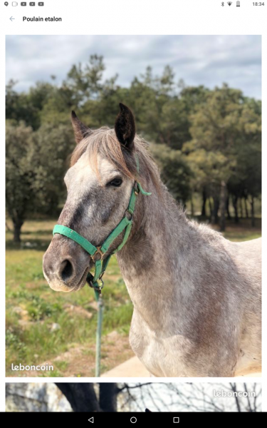 Photo de profil de clem.mama