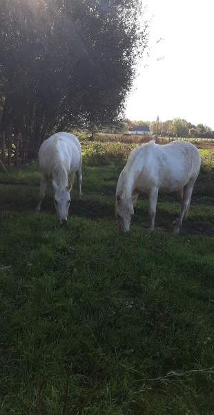 Photo de profil de cloclo2507