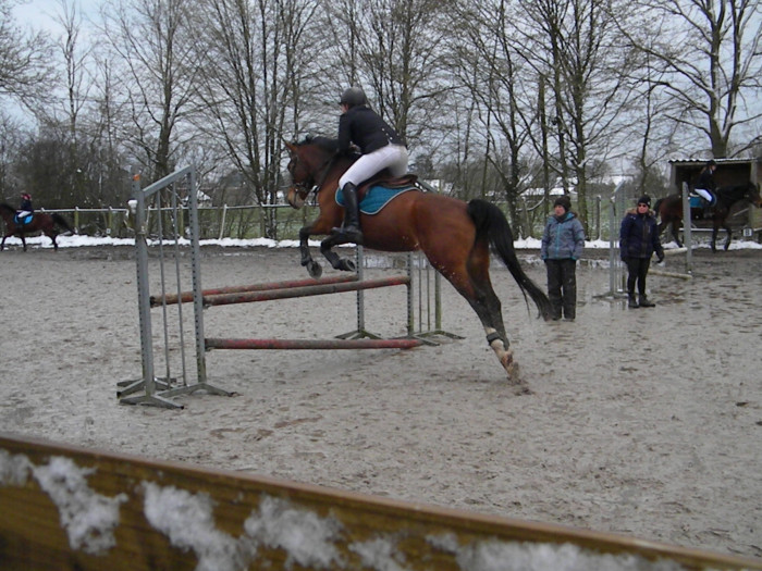 Photo de profil de cloclo77580