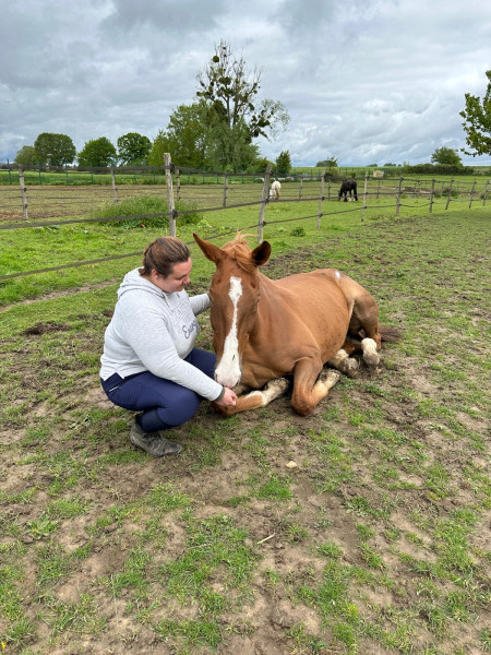 Photo de profil de cloegentil