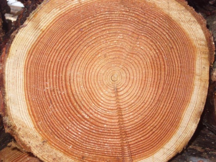 Photo de profil de cloturediscount