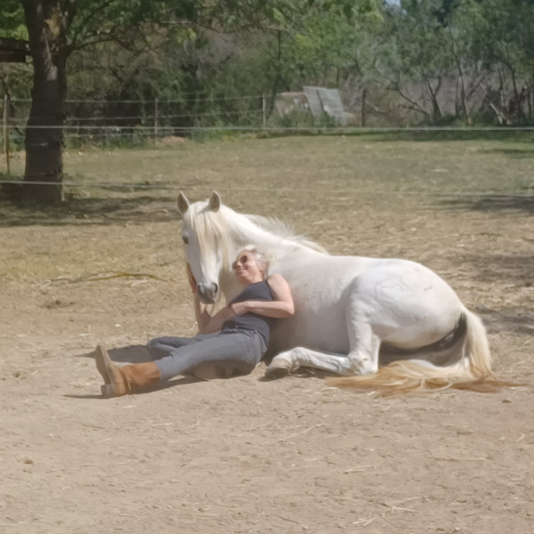 Photo de profil de comete34