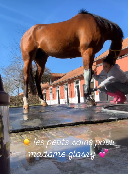 Photo de profil de conciergeriemla