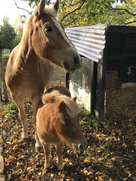 Photo de profil de constance2504