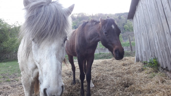 Photo de profil de corine67