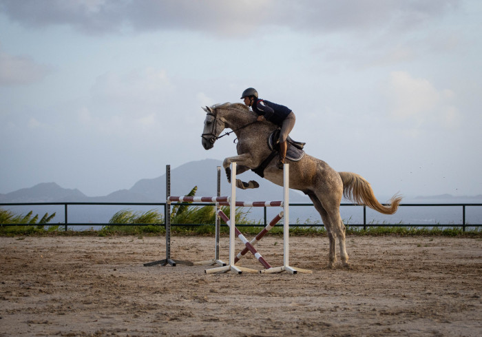 Photo de profil de coulisse