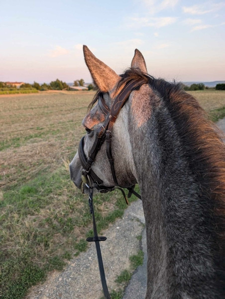 Photo de profil de countli