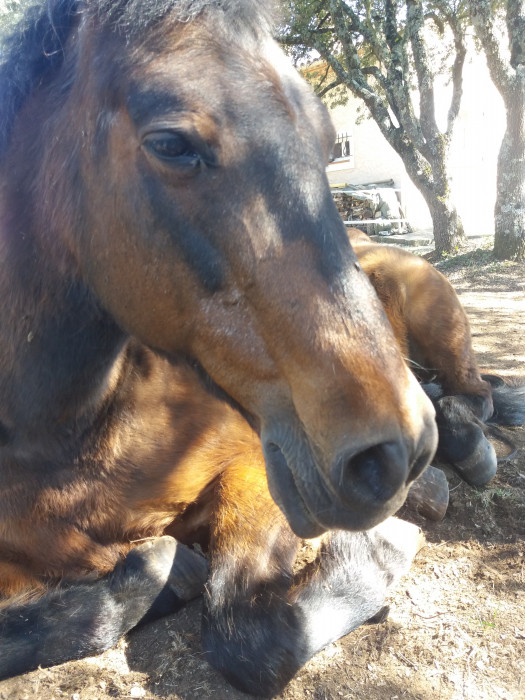 Photo de profil de cpeloso