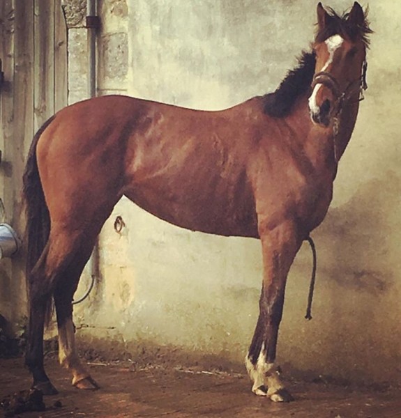 Photo de profil de creafizz