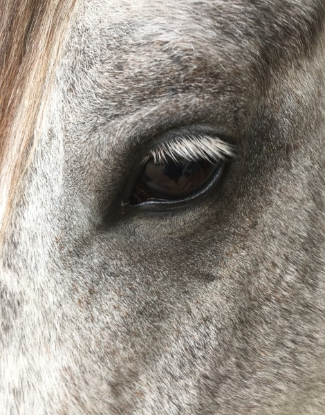 Photo de profil de cri28