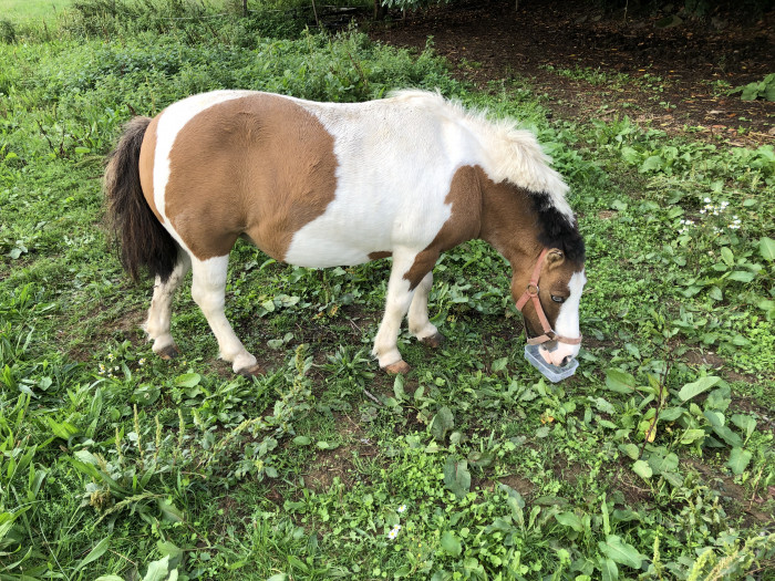 Photo de profil de cristal35