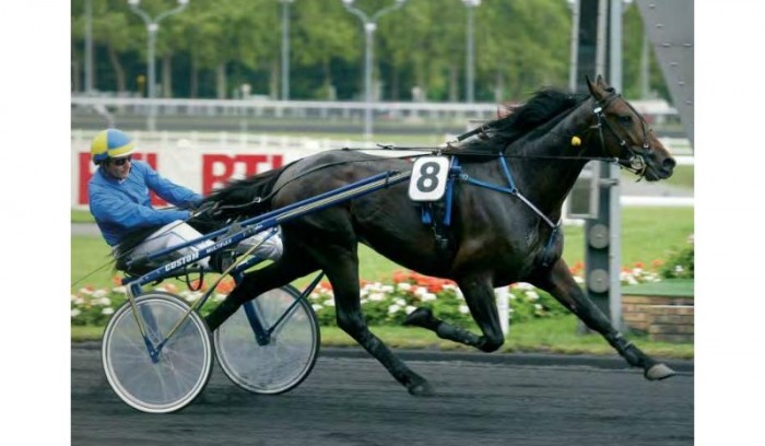 Photo de profil de croisementtrot