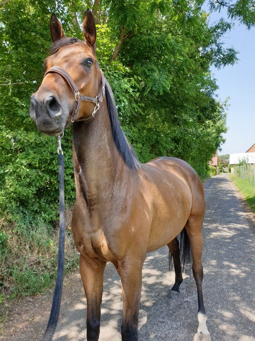 Photo de profil de crooner.crou