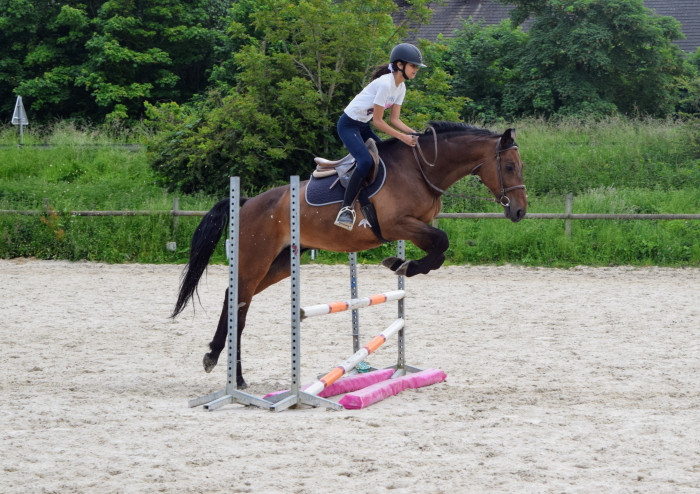 Photo de profil de curtis_forever