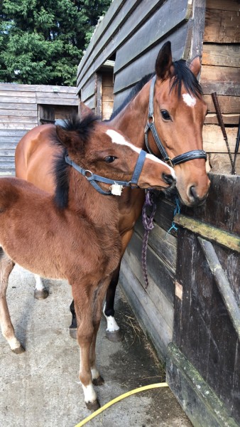 Photo de profil de cyrielle91