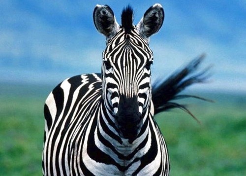 Photo de profil de dabo70