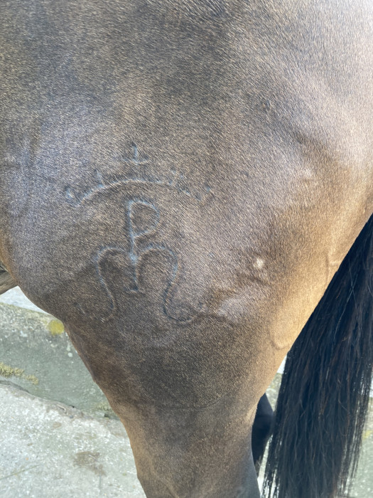 Photo de profil de dadine0602